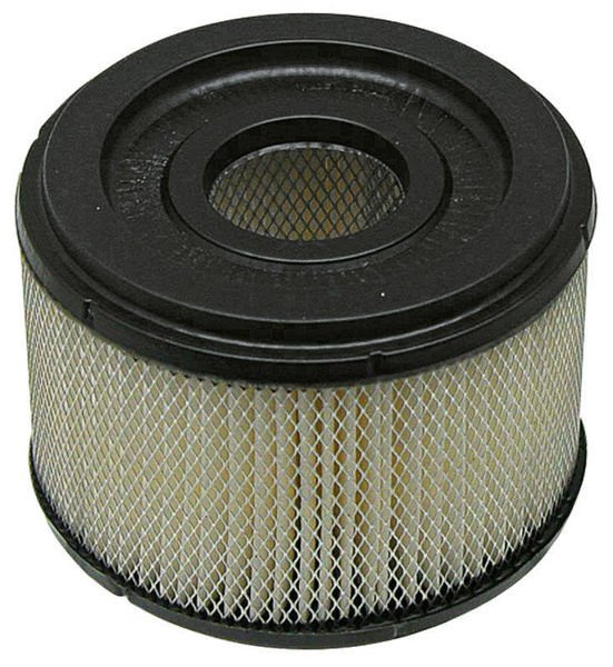 filtr powietrza BRIGGS & STRATTON 