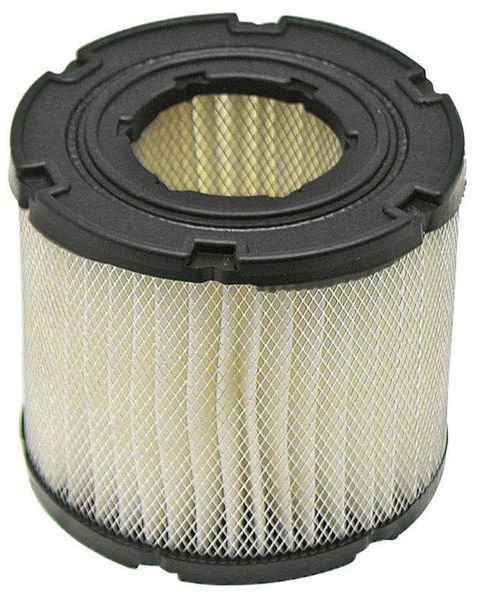 filtr powietrza BRIGGS & STRATTON 